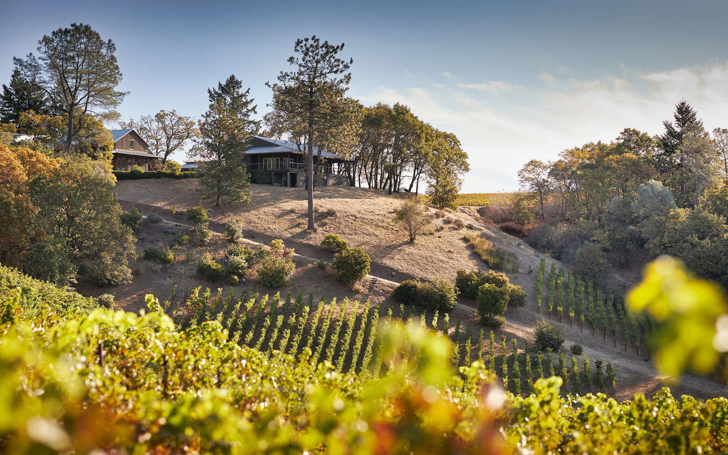 Outpost, Howell Mountain Cabernet Sauvignon, 2021