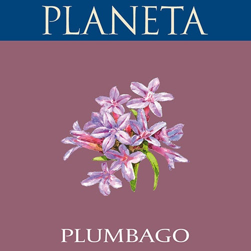 Planeta Plumbago Nero d'Avola Sicilia DOC 2019